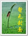 惡魔電影係統