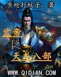 武帝之天龍八部